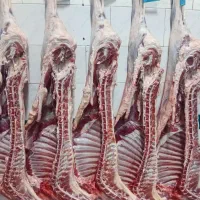 به دونفر آقا جهت کار مواد پروتئینی نیازمندم