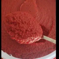 رب گوجه فرنگی سبز دشت|خوردنی و آشامیدنی|بهارستان, |دیوار