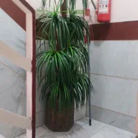 اجاره خانه|اجارهٔ آپارتمان|اسلامشهر, شهرک محمدیه|دیوار