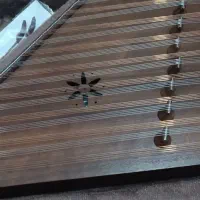 سنتور ویژه مدل استادمدنی