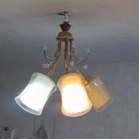 لوسترشاخه ای درحد|لوستر و چراغ آویز|فردیس, شهرک ۱۱۰|دیوار