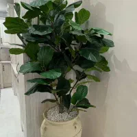 گل مصنوعی لیراتا