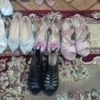 30جفت کفش یکجا|کیف، کفش، کمربند|تربت جام, جامرود|دیوار