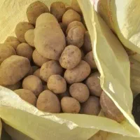 سیب زمینی|خوردنی و آشامیدنی|فریمان, |دیوار