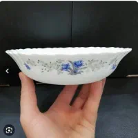 بشقاب فسنجون خوری