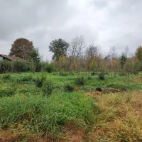 فروش زمین مسکونی سنددار در بلوار دیلمان لاهیجان|فروش زمین و ملک کلنگی|لاهیجان, بوجایه|دیوار