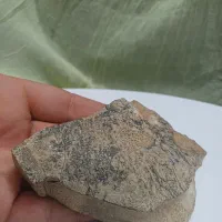 سنگ شجر|جواهرات|اصفهان, پوریای ولی|دیوار