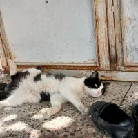 راهنمایی میخواستم
