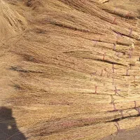 جاروی شهرداری