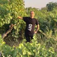 شخم بادستگاه هرس وسم پاشی