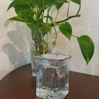 تامین وپخش آبمعدنی لیوانی برای اربعین ومجالس وکافه|خوردنی و آشامیدنی|اهواز, کیان اباد|دیوار