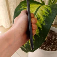 آیفون ۷ حافظه ۲۵۶ گیگ درحدنو|موبایل|مشهد, کوی المهدی|دیوار