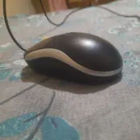 موس لبتاب