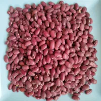 فروش انواع حبوبات مرغوب بصورت عمده و جزئی|عمدهفروشی|گنبد کاووس, |دیوار