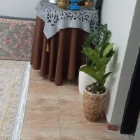 عکس داخل گوشیم ندارم هر زمان خواستید عکس میفرستم