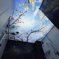 نصب انواع سقف های کشسان و اسمان مجازی|مصالح و تجهیزات ساختمان|شهر بابک, |دیوار