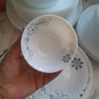 سرویس آرکوپال apex opal هند