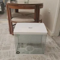 اکواریوم
