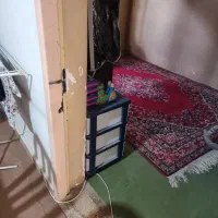 قالی دستباف|فرش|شاهینشهر, فردوسی|دیوار