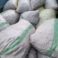 ازگیل (کنوس)|خوردنی و آشامیدنی|حویق, |دیوار