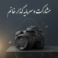 سرمایه گذار و مشارکت