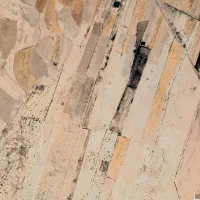 فروش-زمین-کشاورزی