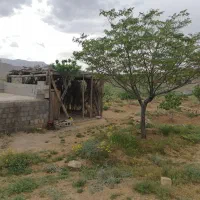 فروش ملک انجیر