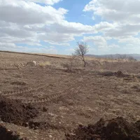 زمین-دیم-اجاره-ای-در-سلطانیه