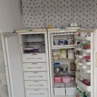 یخچال دوقلو پارس