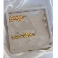 بدلیجات