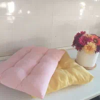 بالشت پر همراه نشیمنی