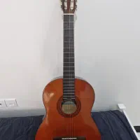 گیتار c40
