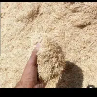 کاه گندم و جو