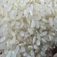 فروش برنج محلی|خوردنی و آشامیدنی|فیروزآباد (فارس), |دیوار