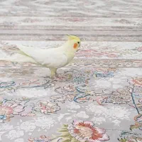 عروس هلندی|پرنده|سبزوار, باهنر|دیوار