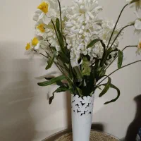 گل تمیز ونو