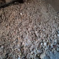 نان خشک و ارد مناسب شتر داران