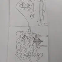 نقاشی|تابلو، نقاشی، عکس|فولادشهر, B2|دیوار