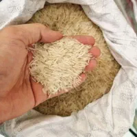 برنج شاه خوشه ،ایرانی،هندی،پاکستانی