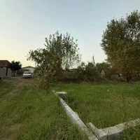 230متر زمین مسکونی بامدارک شسته رفته و پروانه ساخت|فروش زمین و ملک کلنگی|لنگرود, |دیوار