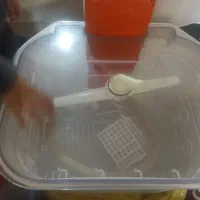 ماشین ظرفشویی