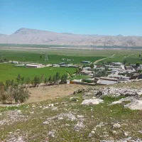 اجاره روزانه