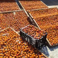 الو حاج حسنی آفتابی