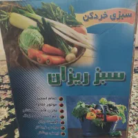 سبزی خردکن سبزریزان|خردکن، آسیاب، غذاساز|کرمان, |دیوار