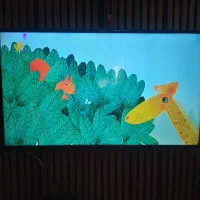 ال ای دی ۴۲ ال جی