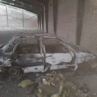 مرغ و خروس خرید ماشین اسقاطی تصادفی