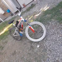 دوچرخه ۲۴ برند المپیا