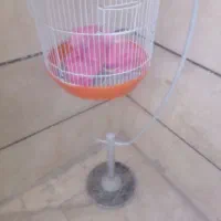 قفس پایه دار پرنده زینتی|لوازم جانبی حیوانات|فردیس, شهرک راه آهن|دیوار