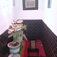 راهنمایی تخصصی نگارش پایان نامه ادبیات فارسی