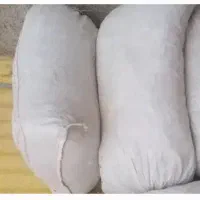 کود گل و گیاه کبوتر